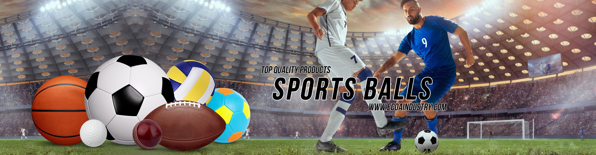 Sports Balls