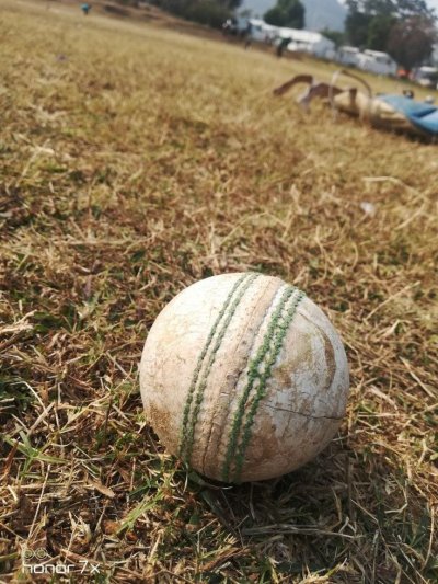 Cricket Balls