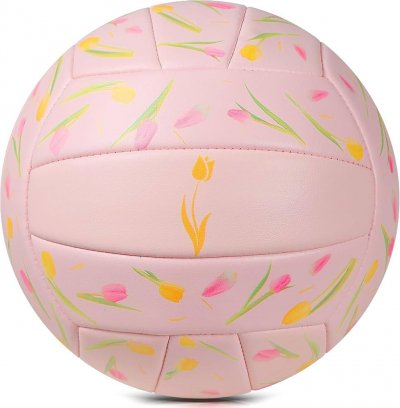 Volleyball Balls