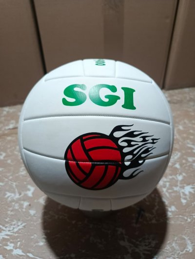 Volleyball Balls
