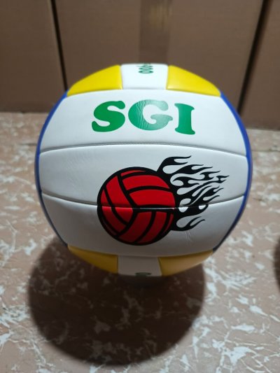 Volleyball Balls