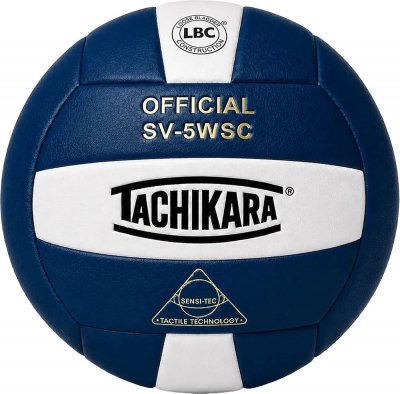 Volleyball Balls