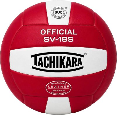 Volleyball Balls
