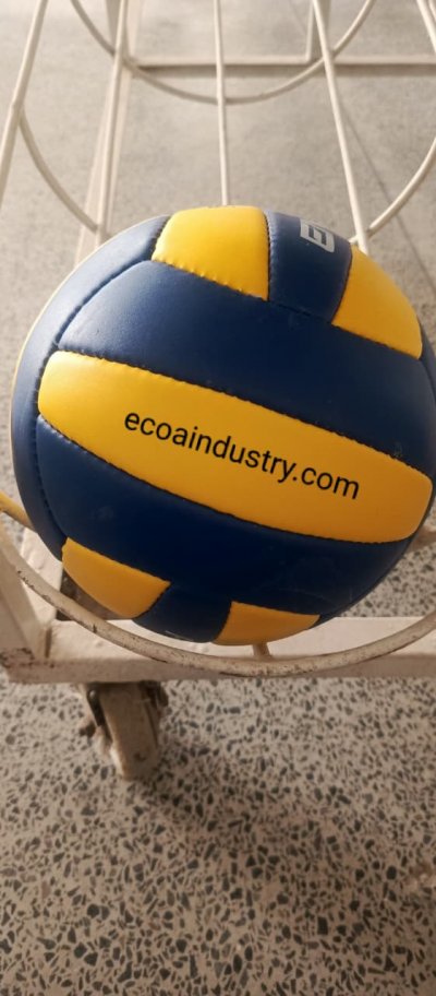 Volleyball Balls
