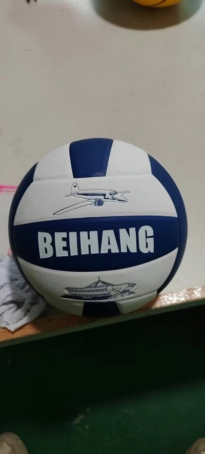 Volleyball Balls