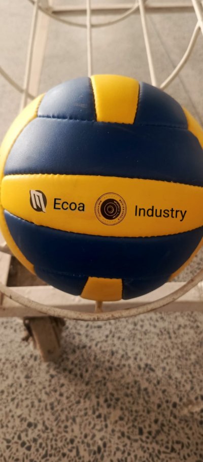 Volleyball Balls